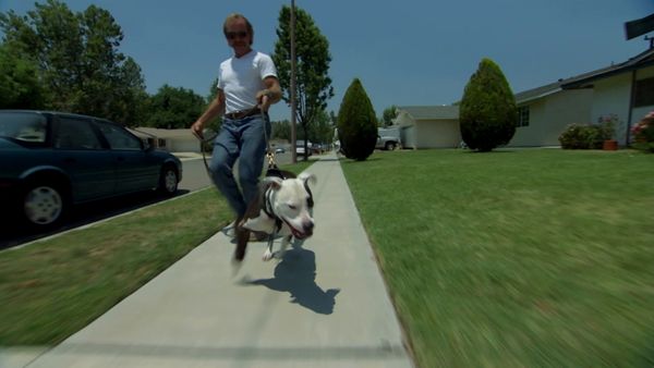 Hundehviskeren - Buster, Holli, and Spike & Belle