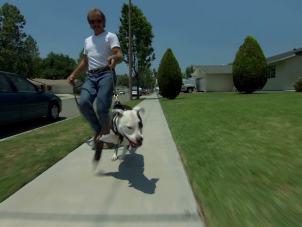 Hundehviskeren - Buster, Holli, and Spike & Belle
