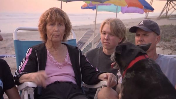 Hundehviskeren - Special: 100th Episode Celebration