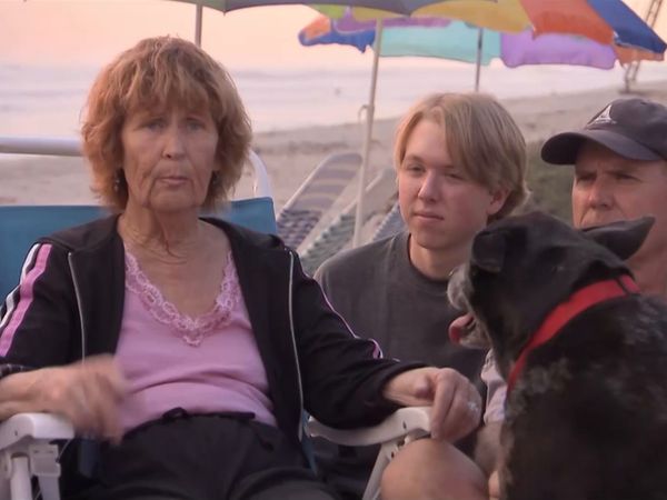 Hundehviskeren - Special: 100th Episode Celebration