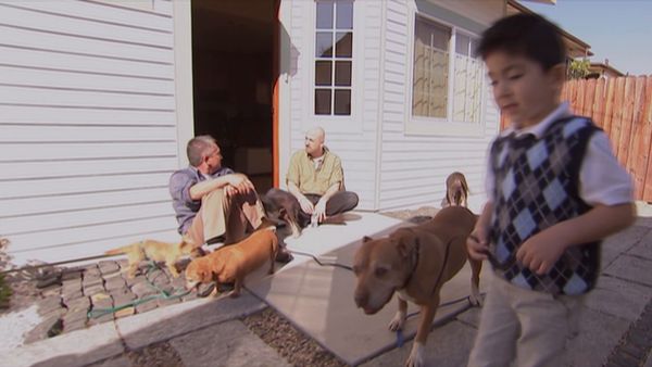 Hundehviskeren - Fear of Dogs