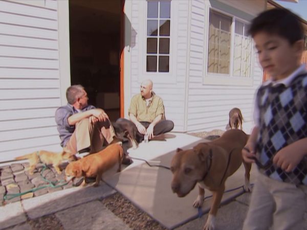 Hundehviskeren - Fear of Dogs