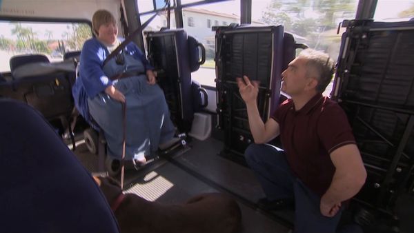 Hundehviskeren - Woof and Wheels