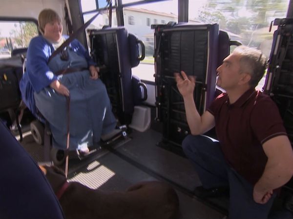 Hundehviskeren - Woof and Wheels