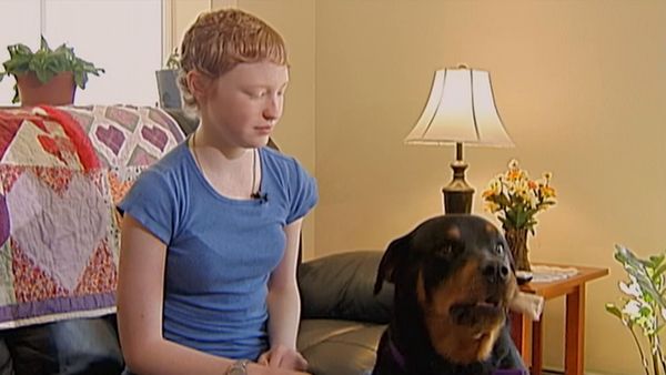 Hundehviskeren - Willie, Make-A-Wish and Zena