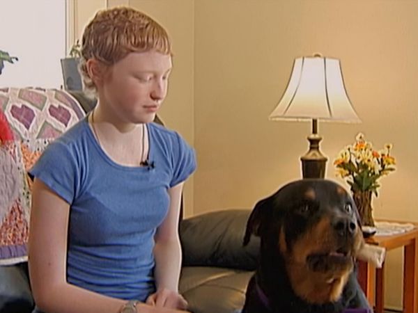 Hundehviskeren - Willie, Make-A-Wish and Zena