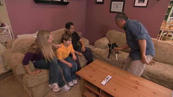 Hundehviskeren - Bella, Rocky and Madison & Catalina