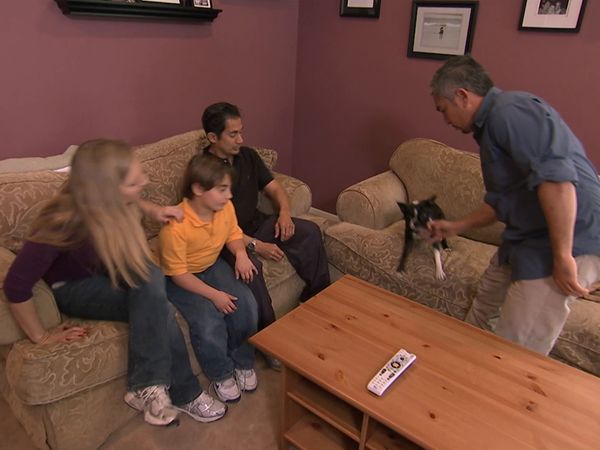 Hundehviskeren - Bella, Rocky and Madison & Catalina