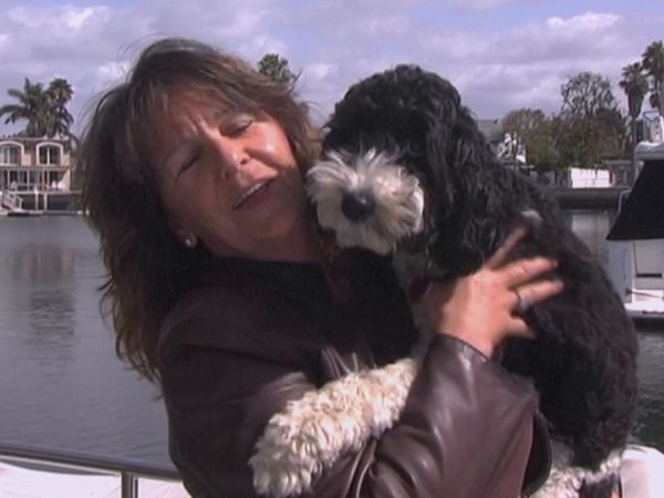 Hundehviskeren - Fear Factor