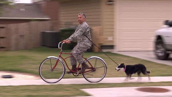 Hundehviskeren - Army Brats