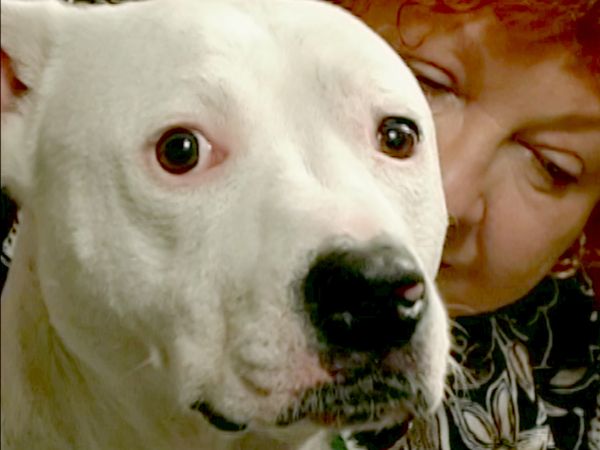 Hundehviskeren - Caper & Julius