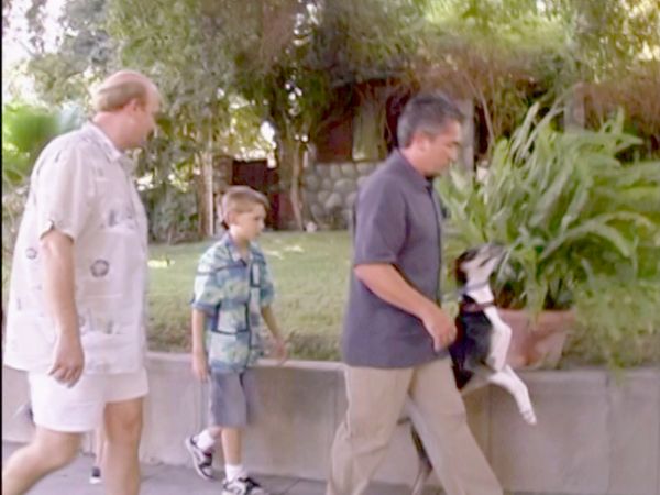 Hundehviskeren - Stewart & Buddy