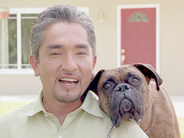 Hundehviskeren - Coach & Sueki