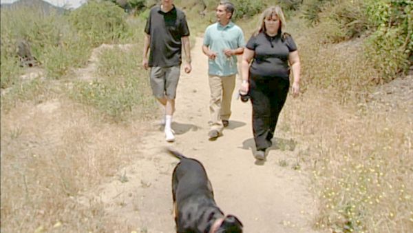 Hundehviskeren - Harry & Brooks