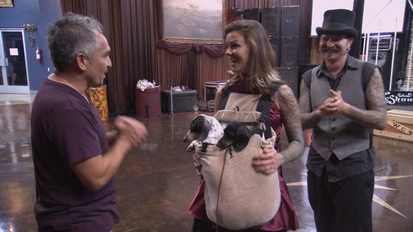 Hundehviskeren - Roxie & Foxy, Charlie, and Bubba & Lucky