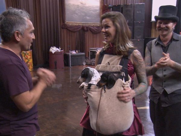 Hundehviskeren - Roxie & Foxy, Charlie, and Bubba & Lucky