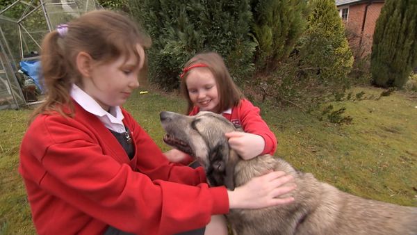 Hundehviskeren - UK Special 1