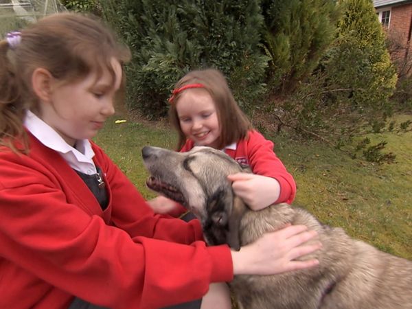 Hundehviskeren - UK Special 1