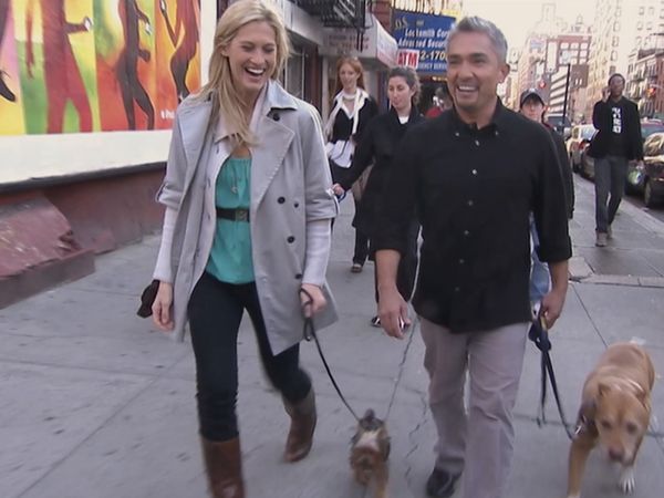 Hundehviskeren - Tyson, Moose, and Rylie & Tucker