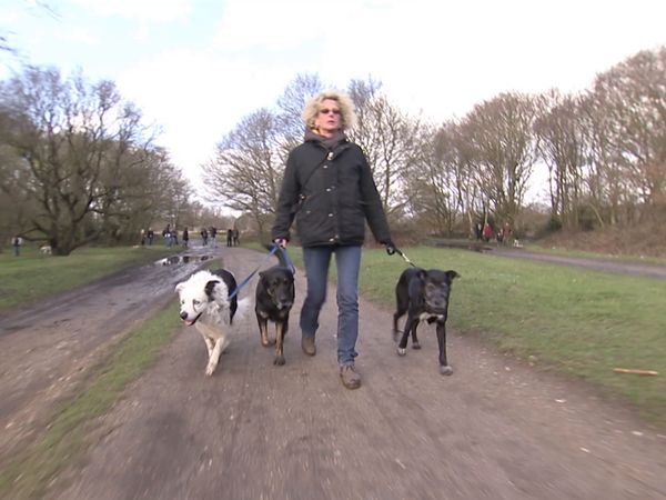 Hundehviskeren - UK Special 2