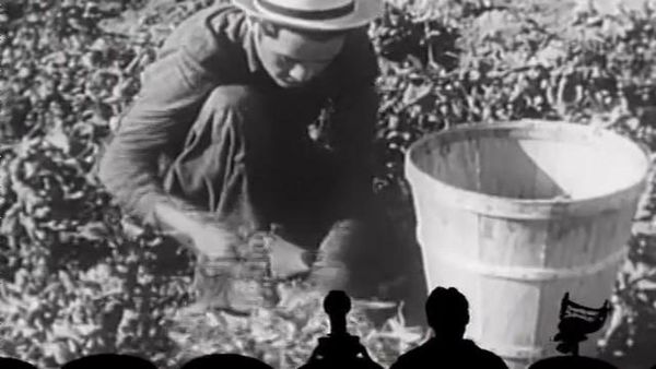 MST3K Shorts - MST3K Shorts: The Truck Farmer