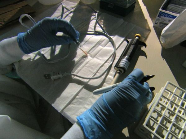 Forensic Files - Luci Spente