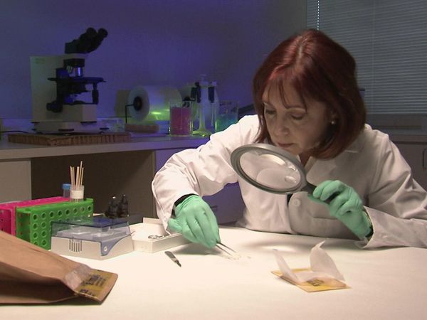 Forensic Files - Scarsa Manutenzione