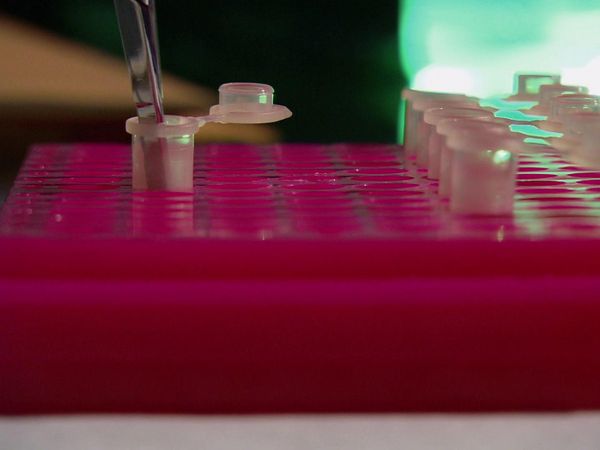 Forensic Files - Vedere Rosso