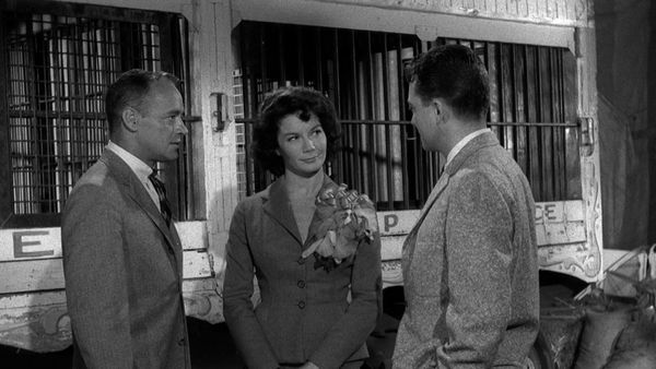 Perry Mason - Der Fall mit der beschwipsten Artistin