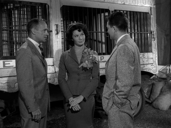 Perry Mason - Der Fall mit der beschwipsten Artistin