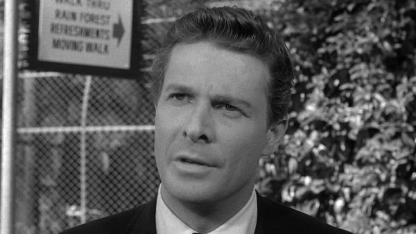 Perry Mason - Der Fall mit dem manikürten Löwen