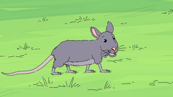 Arthur - Pets and Pests/Go Fly a Kite