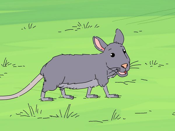 Arthur - Pets and Pests/Go Fly a Kite