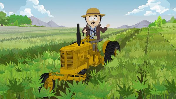 South Park - Tegridy Farms