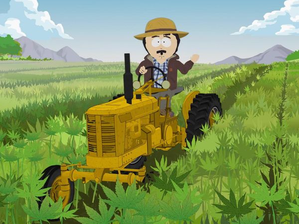 South Park - Tegridy Farms