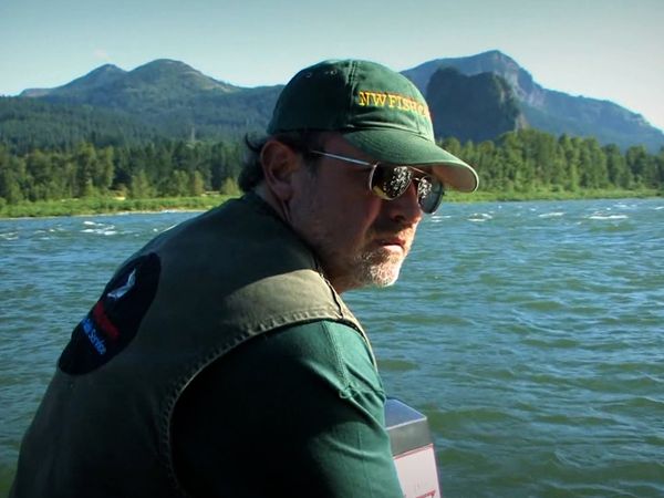 Monster Fish - OREGON STURGEON
