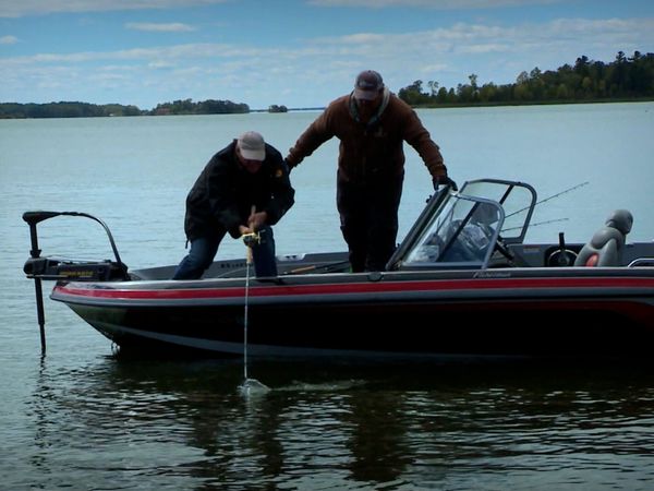 Monster Fish - MUSKY