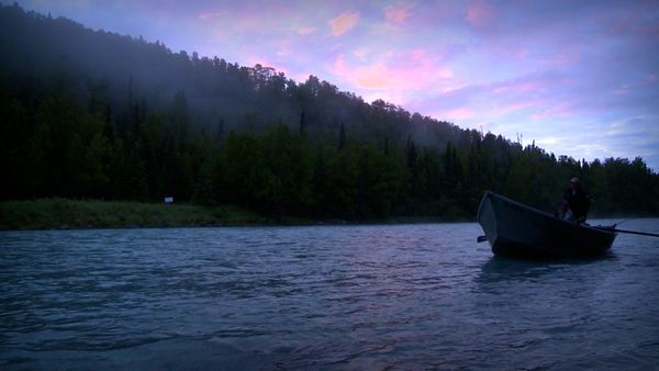 Monster Fish - ALASKA KING SALMON