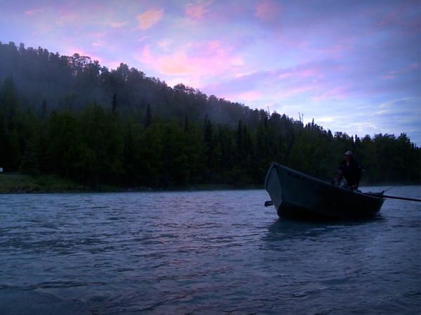 Monster Fish - ALASKA KING SALMON