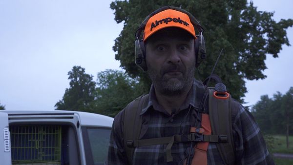 Jakt Är Jakt - Spannmålsjakt på vildsvin