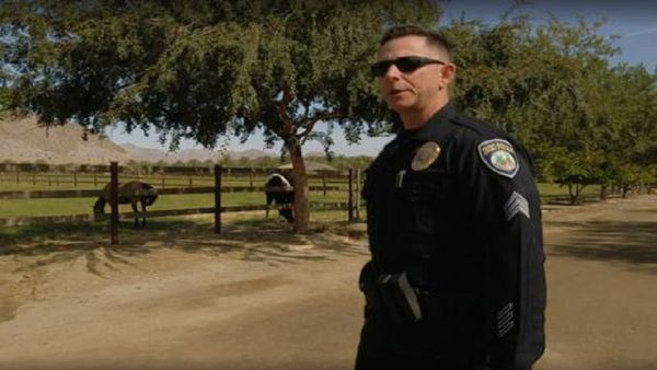 On the Case - A Mystery in Indio