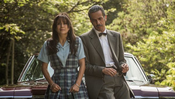 LA RONCA DE ORO - Episodio 25