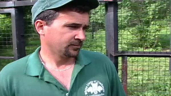 Zoo Diaries - Episode 09
