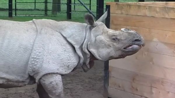 Zoo Diaries - Episode 09
