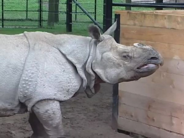 Zoo Diaries - Episode 09