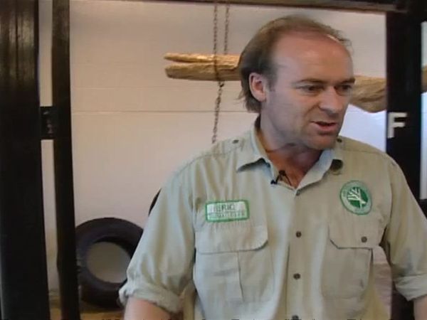 Zoo Diaries - Episode 02