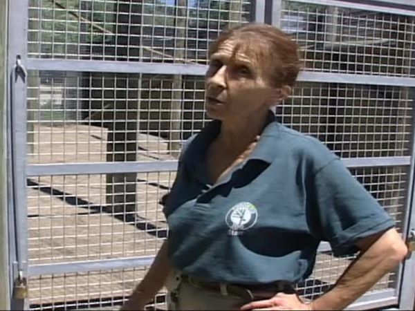 Zoo Diaries - Episode 03