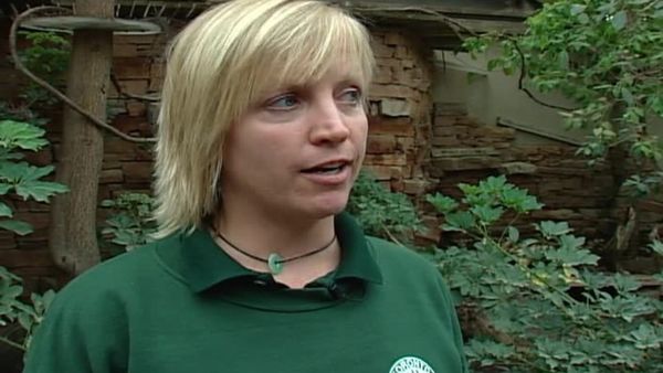 Zoo Diaries - Episode 01