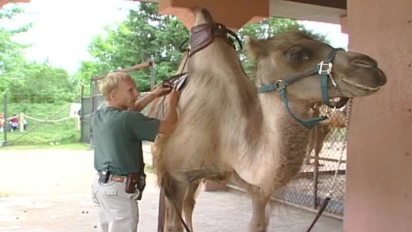 Zoo Diaries - Episode 03