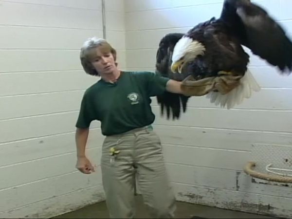 Zoo Diaries - Episode 04